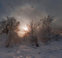 Полёт над закатом... / Природа Подмосковья