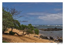 Kapaa / Kapaa, Kauai, Hawaii