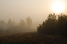 Рассвет... / Утро ,туман,лес,Осень.Всего в достатке...
