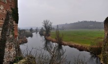 Utrenniy tuman - Morning fog / Valeggio sul Mincio (Mantova)