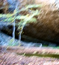 &nbsp; / Импрессионизм. Для интересующихся, фотографии (не мои) в данном стиле: http://www.leemingpaterson.com/gallery_177987.html