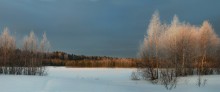 Март.Лучи весны / Скоро весна...