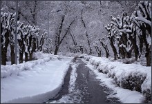 Последний снег ... / Надеюсь что в этом году, это ТАК ...