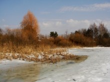 Краски марта.... / мартоцвет