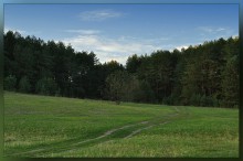 Дорожка к лесу / осенние прогулки