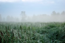 Паутинка / Гражданские сумерки, до рассвета минут 20. Природа спит, не спит фотограф...