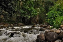 Wailua creek / Wailua, Kauai, Hawaii