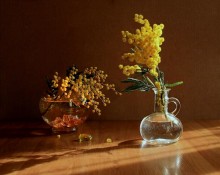 Две вазочки и весна / Задушевный разговор