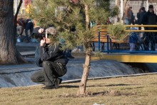 В засаде / Фотограф за работой