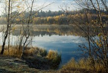 Прозрачное утро ноября / 21 ноября