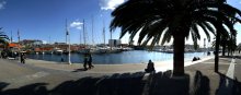 Под сенью пальм / Февраль. Набережная Барселонского порта.