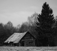 его больше нет... / пал под натиском ветра
(мыльница)