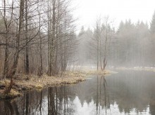 Последний снег / Он был еще в лесу.