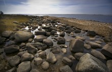 «Stone Collection» / Baltijskij bereg