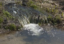 Ручеек / Бобры сделали платину и в некоторых местах вода сама находит себе путь