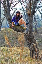 гламурная ворона / очень пасмурно и много дыма солнце не пробивалось через смог