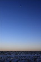 minima moon / под Луной