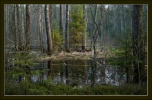 Лесная речка вечером / Через неделю после предыдущей работы.
Может показаться сумбур в подаче сюжета,но часто пробираясь к заветному месту, мы через него пролазим, продираемся и все это лес....