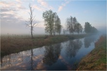 Morning mist / В родных местах