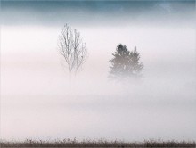 За деревней. / Там хорошо,там соловьи поют.