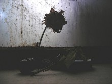 Поражение восставших / иллюстрация