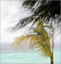 Ветер / Мальдивы