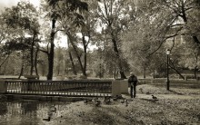 Старик и утки / Утром в парке