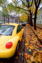 Осень на Пушкинской. / Пушкинская улица в Одессе - одна из самых любимых в нашем городе.