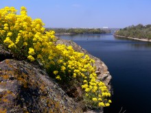 Весна пришла / На  берегу  Старого Днепра