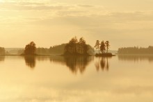 Тихая Карелия. / Поздний вечер перед белой ночью, низкое солнце окрасило всё вокруг в мягкий жёлтый цвет.