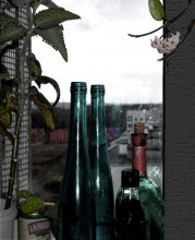 Из цикла "Перед окном" (6) / Бутылки на подоконнике