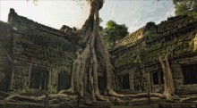 дерево, камень, храм №2 / Ангкор - Камбоджа