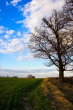 3-хцветный пейзаж / .....