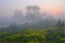 Приход утра / Ранним утром в речной долине
