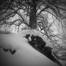  / корни