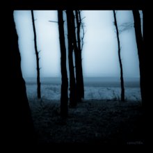 ambient / .........