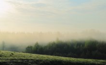 Утреннее настроение / Туман прекрасное явление природы