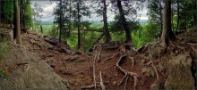 Хозяйство Гремучей Змеи / заповедник &quot;Высотка Гремучей Змеи&quot; (Rattlesnake Point), Ниагарский эскарп, Онтарио, Канада