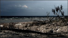 Конец географии / Морская оконечность Латвии - мыс Колка