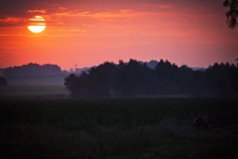 утро &quot;фермера&quot; / без комментариев