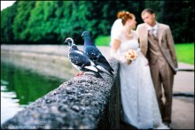 Two by Two / wedding