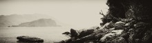 _island_ / _______