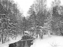 Зимняя река / Зимняя река