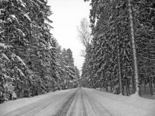 Зимняя дорога / Зимняя дорога