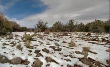 в горах Гила ..3 / Парк Гила (Gila), горный массив у г. Сильвер-сити, Ню-Мексико, США
...ну, в общем... там, на вершинах, держится снег, и растут кактусы..