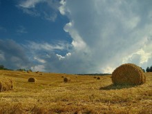 Накануне грозы / ----------