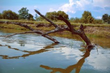 ветви-руки / Ветви – руки, ветви – плети
В темноте за фонарями,
Не живы, не мёртвы
Сетью растянулись меж домами
Ветерок случайно сгонит
Лист пожухлый, уцелевший
Ветки гнутся, ветви стонут
По весне на миг ушедшей
Лишь снежок их успокоит,
Скроет наготу от взгляда,
Покрывалом грёз укроет
До весны… Сейчас так надо.

Катерина Ульянова