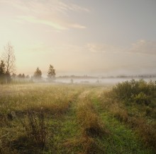 Utro / Август утро туман