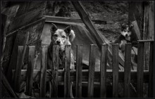 Люся & son ... / как то так ...