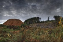 Следы человечьи / .....,